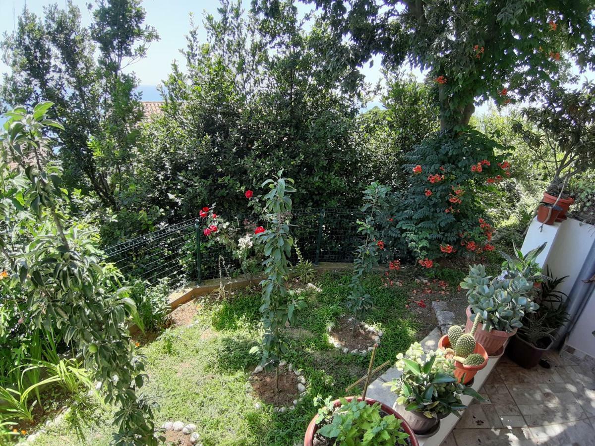 Vesna Apartments Ulcinj Exterior foto